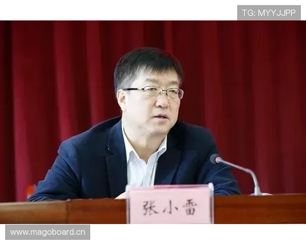 黄梅企业家：创新驱动发展引领地方经济腾飞的实践与思考