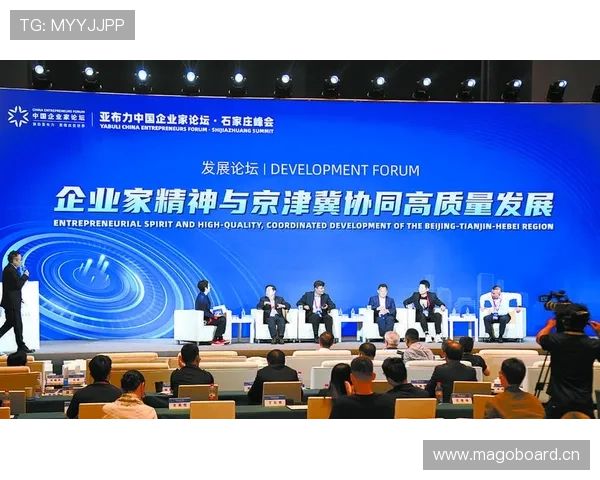 民族企业家精神：创新驱动与文化传承的融合发展之路